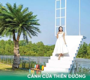 Flamingo Dai Lai Resort - Forest In The Sky Executive F220
