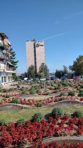Apartman Marina Kladovo