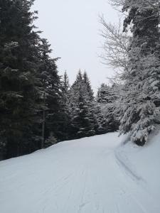 Appartement Cosy Ax les Thermes