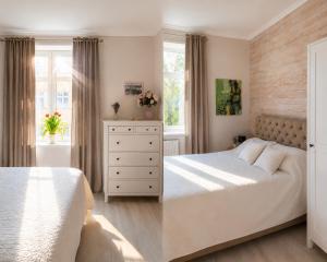 Stylish air-conditioned Klaipeda Flat, Near Dane River