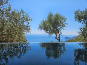 Villa Dequinz Luxury Retreat & Private Infinity Pool