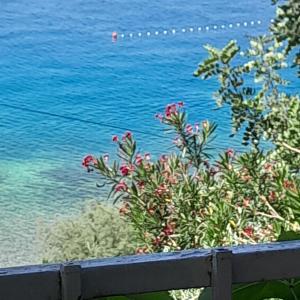 Apartman Anđelka