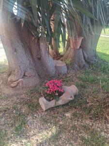 B&B Villa Amodeo