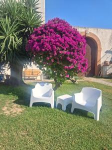 B&B Villa Amodeo