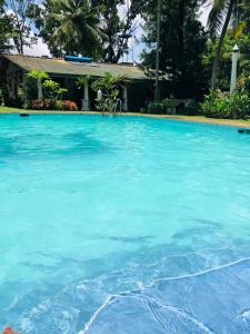 New Greenish Villa