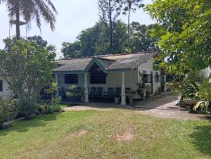 New Greenish Villa