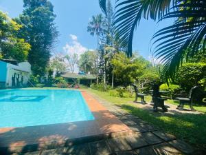 New Greenish Villa