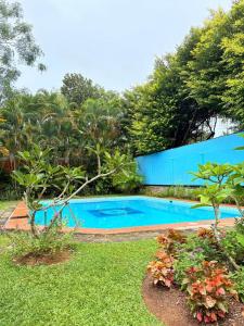 New Greenish Villa