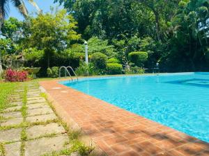 New Greenish Villa