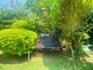 New Greenish Villa