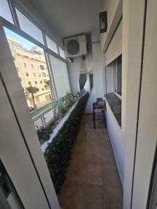 Quiet and cozy apartment