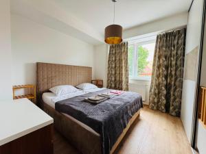 Narcis street apartment