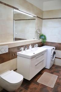 Apartman Deluxe Astrova A