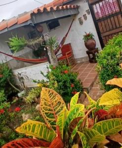 Toucherit Standar triple