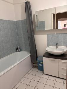 Grand T3 lumineux Toulouse Argoulets