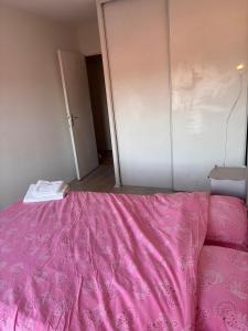 Grand T3 lumineux Toulouse Argoulets