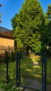 Błękitna Garden Studio