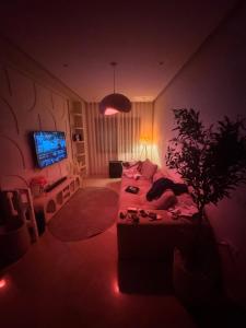 OCosy House Netflix, IPTV, Movie Theater Guéliz center