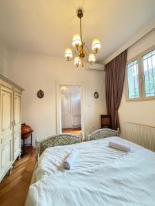 Authentic Interbelic Villa in the city center