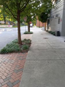 Elegance at Baymon