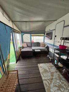 AMOMEA CAMP