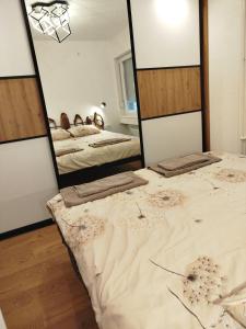 IDA Apartment