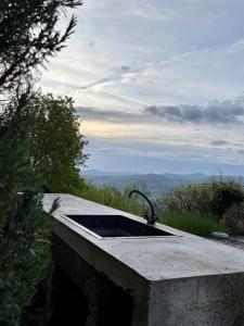Luxury villa with infinity pool & vineyard views