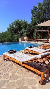 Luxury villa with infinity pool & vineyard views