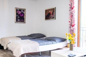 Central Apartments Premium