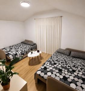 Dora apartment