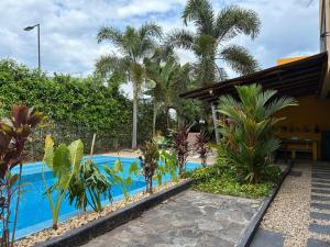 Jungle pool house Bird mural Ricaurte