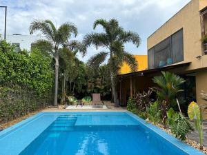 Jungle pool house Bird mural Ricaurte
