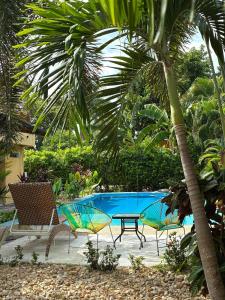 Jungle pool house Bird mural Ricaurte