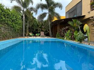 Jungle pool house Bird mural Ricaurte