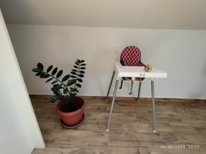 Iva Apartment, Surcin-Belgrade
