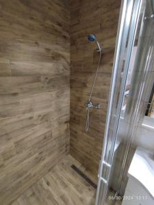 Iva Apartment, Surcin-Belgrade