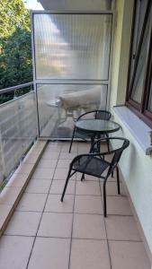 Apartament Lili