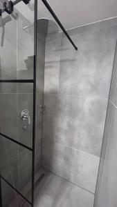 Wellness Apartment with Pool & Sauna in Kniebis