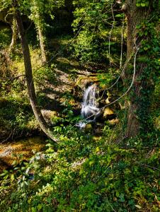 Le Moulin des Salces