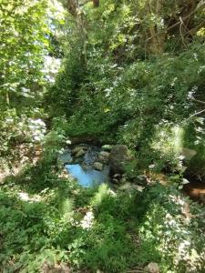 Le Moulin des Salces