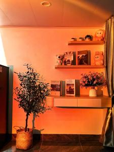 Daily Homestay An Khánh