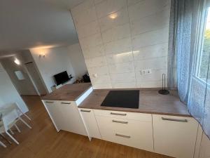 Modern apartment Lući