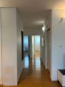 Modern apartment Lući