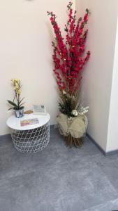Hulin guesthouse