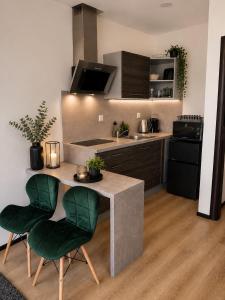 Plně vybavený krásný apartmán 1kk s balkonem, výhledem
