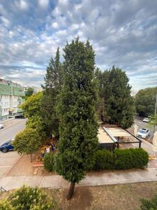 The Quiet Corner, Central Podgorica Apartment