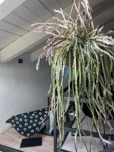 Aosta loft in the historic center
