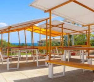 Hewani a bright & airy 1 BR apartment with an ocean view & pool