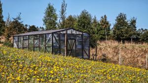 Ave Lodge Frutillar