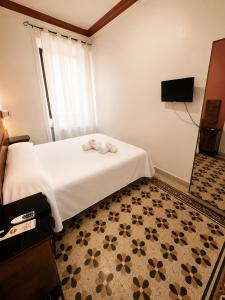 Novaroma by Local Domus